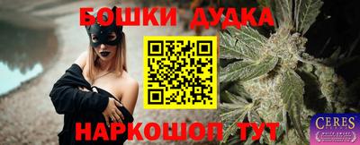 Альфа ПВП Малгобек