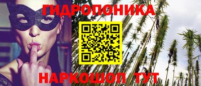 прущие грибы Ливны