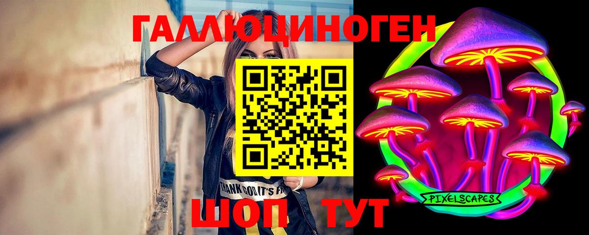 Камышлов  Галлюциногенные грибы мицелий  Вход с VPN 